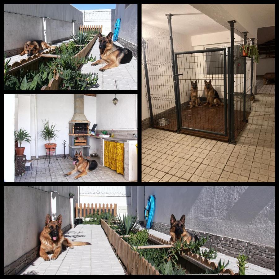 Ferienwohnung Toca Do Lobo Charneca  Exterior foto