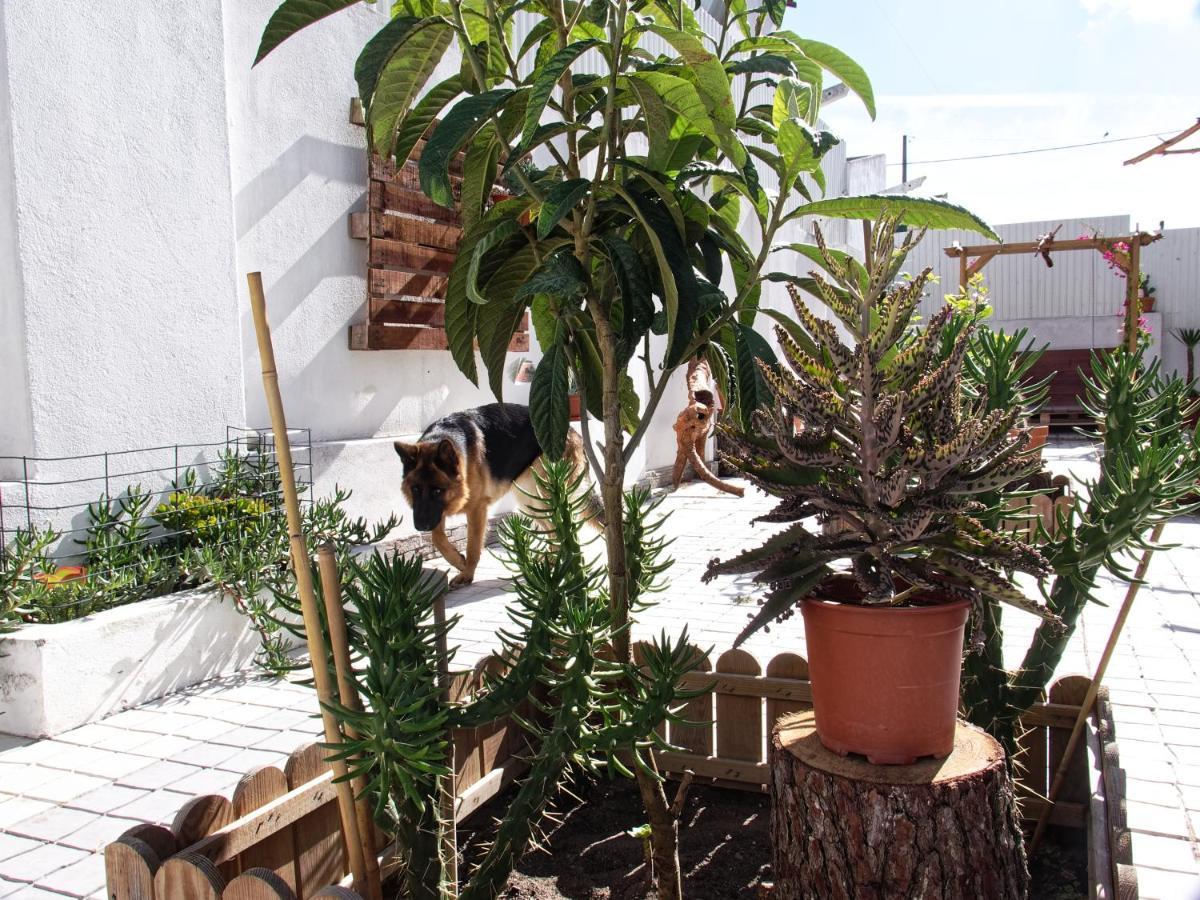 Ferienwohnung Toca Do Lobo Charneca  Exterior foto